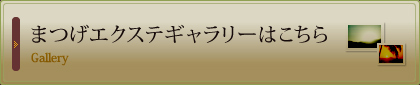 まつげエクステギャラリーはこちら